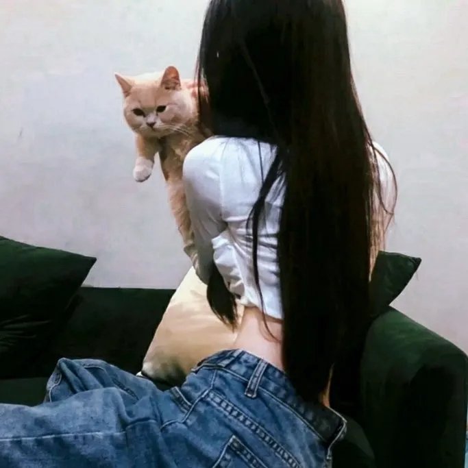 尼姆的实验