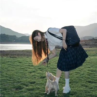 绵羊侦探团