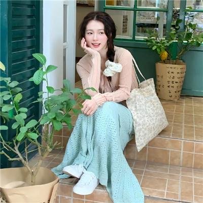 猎鹰追击
